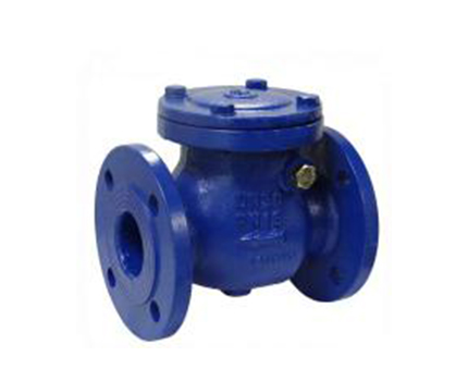 Check Valve Swing Flange Type