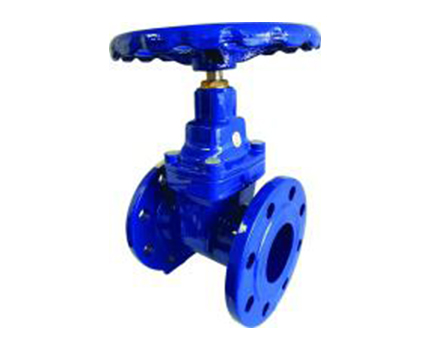 Gate Valve Flange