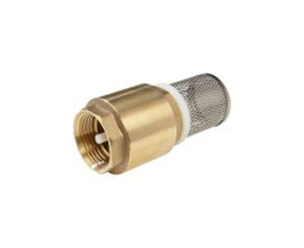 Foot Valve Brass Type