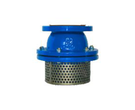 Foot Valve Flange Type